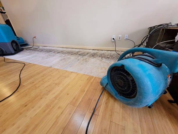 Professional Flood Damage Cleanup technician working in Weidman, MI